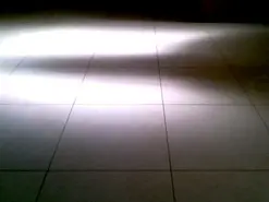 Amateur Adult Video Chat of Daarsa2319